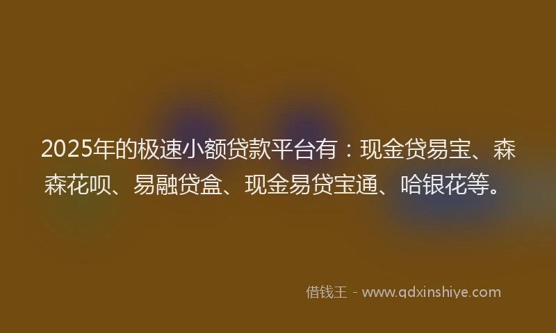 2025年的极速小额贷款平台有：现金贷易宝、森森花呗、易融贷盒、现金易贷宝通、哈银花等。
