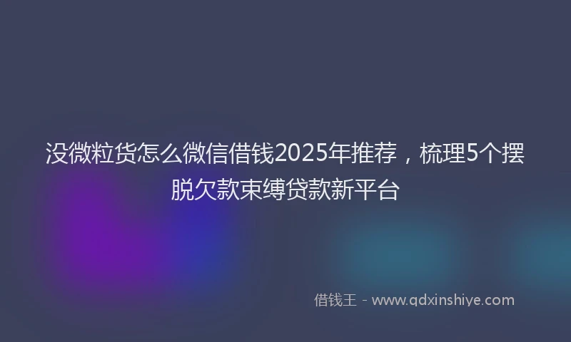 没微粒货怎么微信借钱2025年推荐，梳理5个摆脱欠款束缚贷款新平台