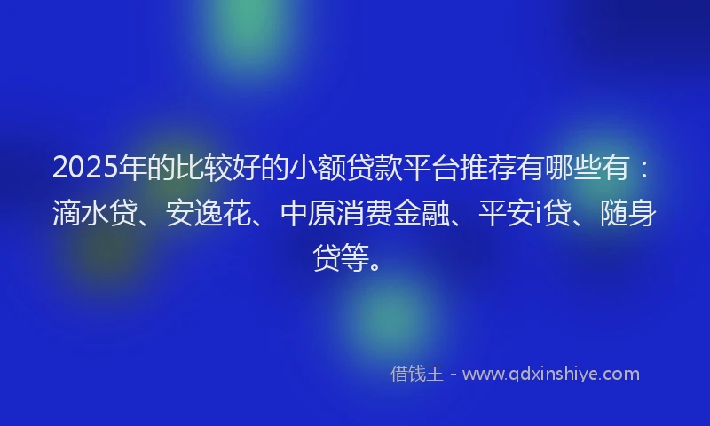 2025年的比较好的小额贷款平台推荐有哪些有：滴水贷、安逸花、中原消费金融、平安i贷、随身贷等。