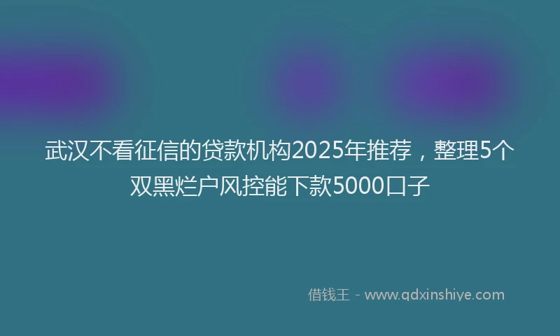 武汉不看征信的贷款机构2025年推荐，整理5个双黑烂户风控能下款5000口子