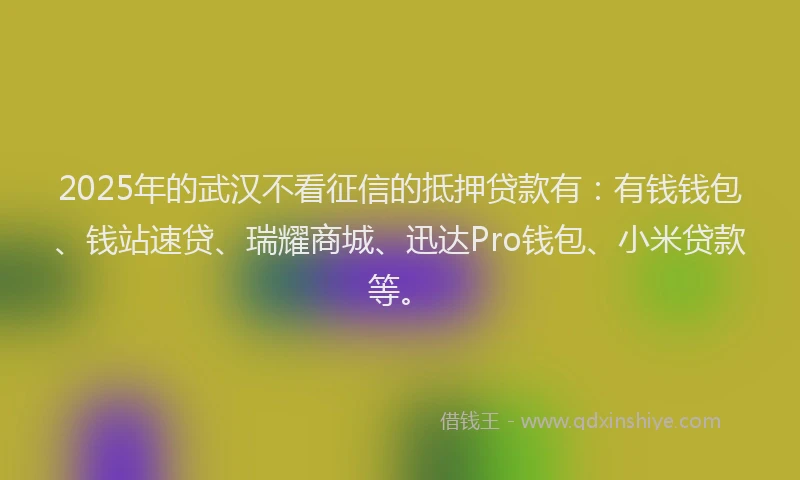 2025年的武汉不看征信的抵押贷款有：有钱钱包、钱站速贷、瑞耀商城、迅达Pro钱包、小米贷款等。