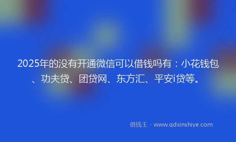 2025年的没有开通微信可以借钱吗有：小花钱包、功夫贷、团贷网、东方汇、平安i贷等。