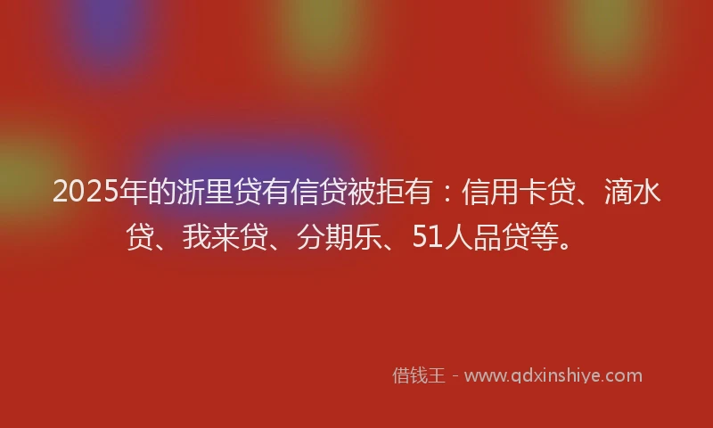 2025年的浙里贷有信贷被拒有：信用卡贷、滴水贷、我来贷、分期乐、51人品贷等。