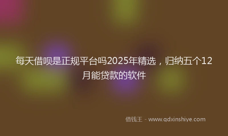 每天借呗是正规平台吗2025年精选，归纳五个12月能贷款的软件