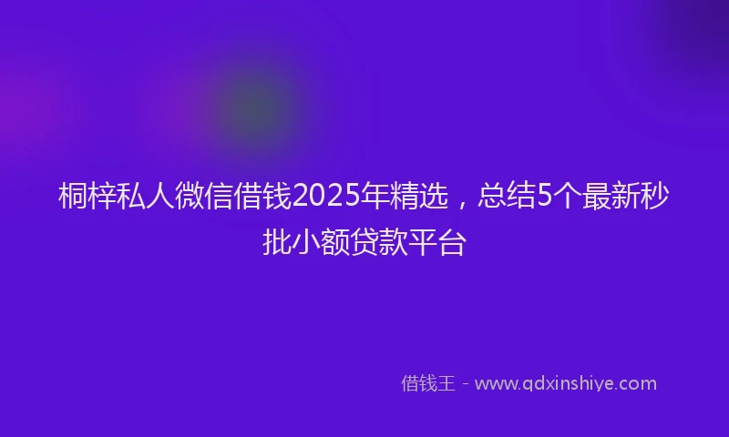 桐梓私人微信借钱2025年精选，总结5个最新秒批小额贷款平台
