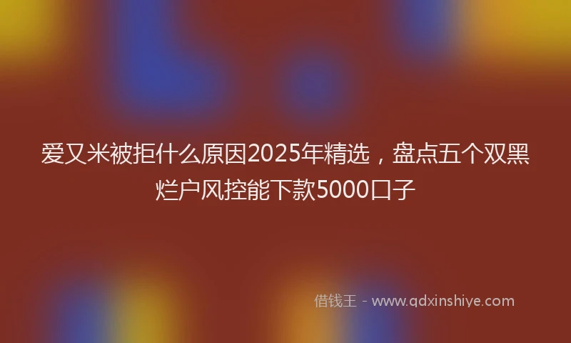 爱又米被拒什么原因2025年精选，盘点五个双黑烂户风控能下款5000口子