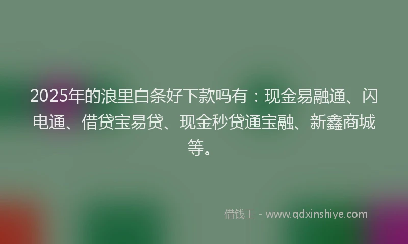 2025年的浪里白条好下款吗有：现金易融通、闪电通、借贷宝易贷、现金秒贷通宝融、新鑫商城等。
