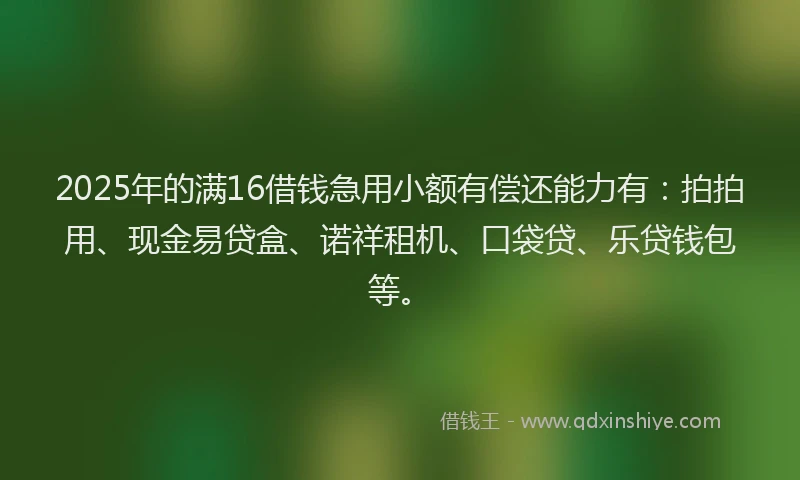 2025年的满16借钱急用小额有偿还能力有：拍拍用、现金易贷盒、诺祥租机、口袋贷、乐贷钱包等。