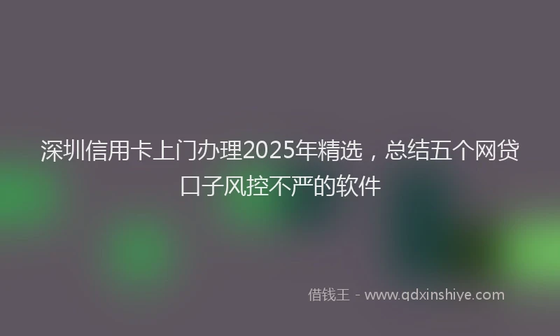 深圳信用卡上门办理2025年精选，总结五个网贷口子风控不严的软件