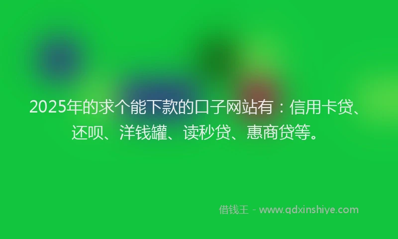 2025年的求个能下款的口子网站有：信用卡贷、还呗、洋钱罐、读秒贷、惠商贷等。