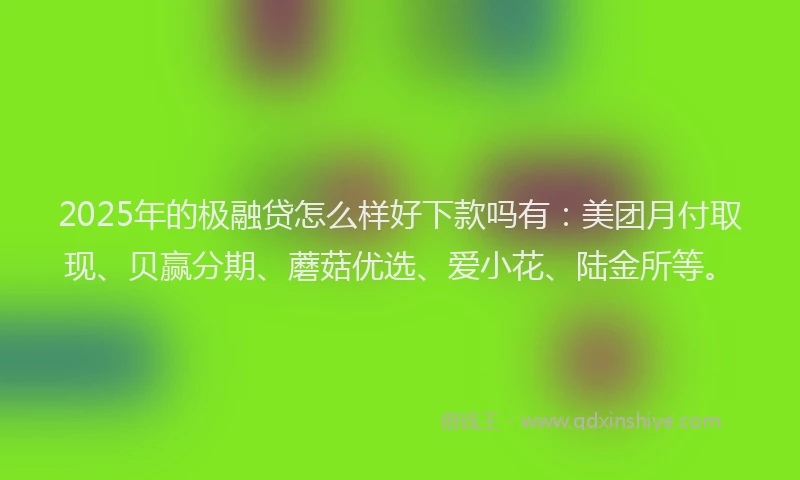 2025年的极融贷怎么样好下款吗有：美团月付取现、贝赢分期、蘑菇优选、爱小花、陆金所等。