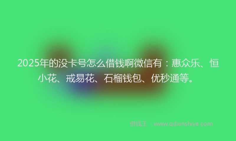 2025年的没卡号怎么借钱啊微信有：惠众乐、恒小花、戒易花、石榴钱包、优秒通等。
