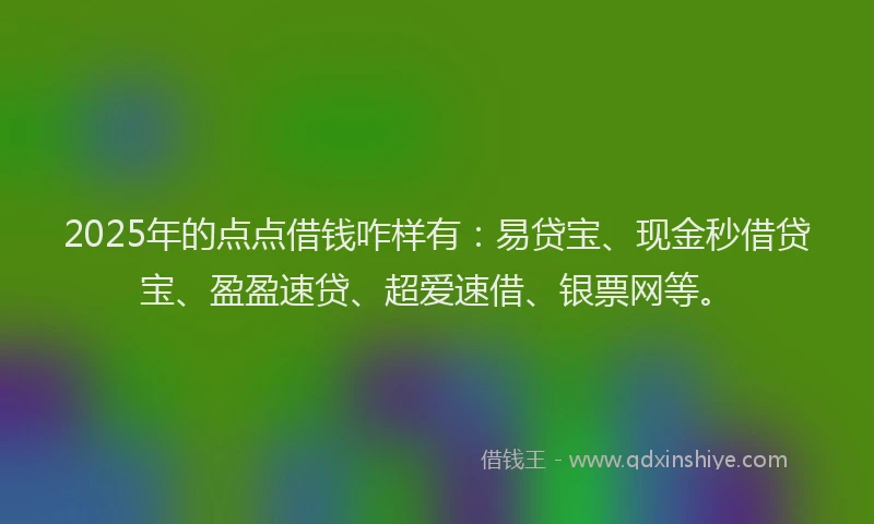 2025年的点点借钱咋样有：易贷宝、现金秒借贷宝、盈盈速贷、超爱速借、银票网等。
