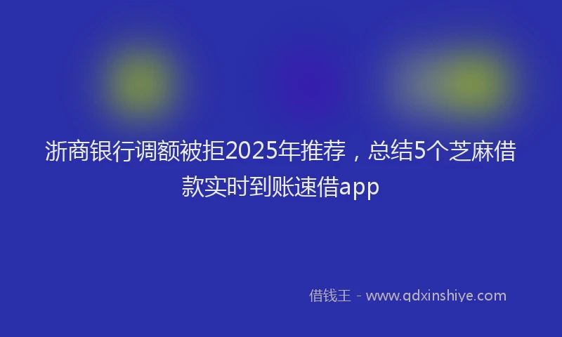 浙商银行调额被拒2025年推荐，总结5个芝麻借款实时到账速借app