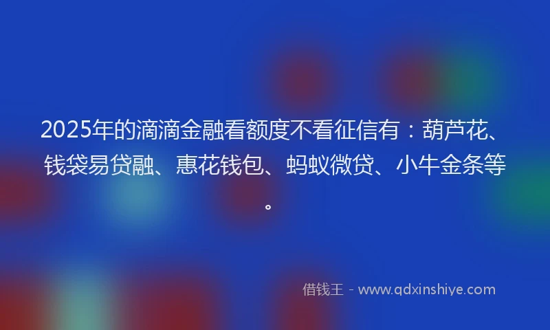 2025年的滴滴金融看额度不看征信有：葫芦花、钱袋易贷融、惠花钱包、蚂蚁微贷、小牛金条等。