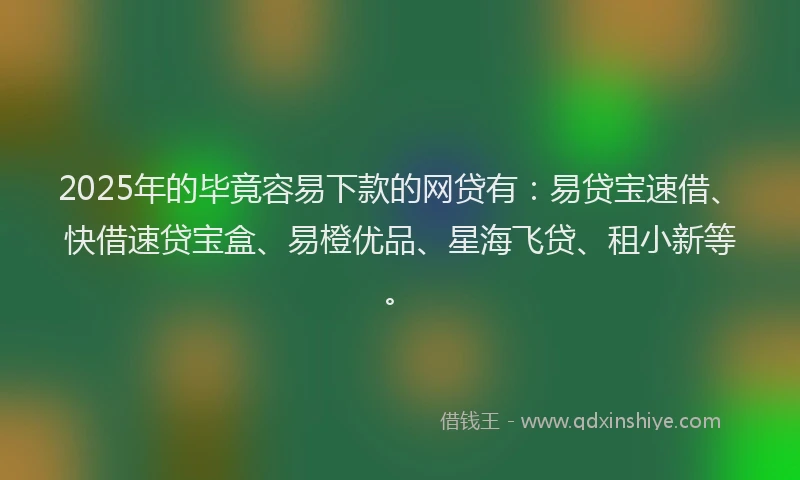 2025年的毕竟容易下款的网贷有：易贷宝速借、快借速贷宝盒、易橙优品、星海飞贷、租小新等。