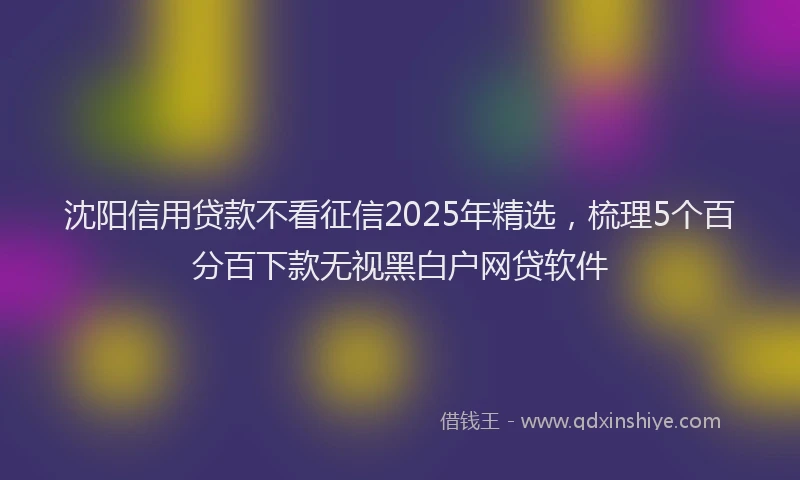 沈阳信用贷款不看征信2025年精选，梳理5个百分百下款无视黑白户网贷软件