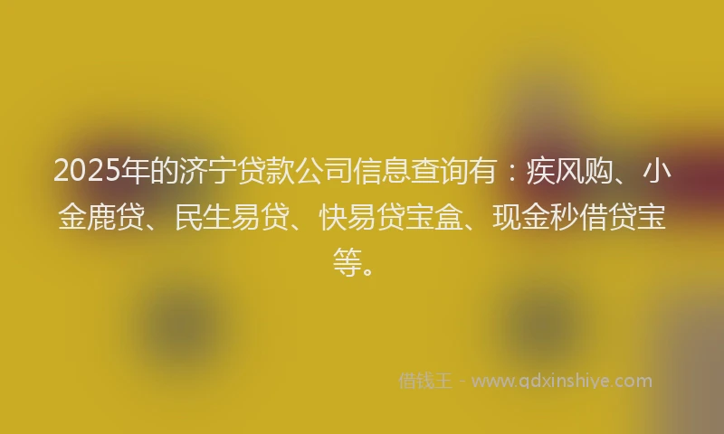 2025年的济宁贷款公司信息查询有：疾风购、小金鹿贷、民生易贷、快易贷宝盒、现金秒借贷宝等。