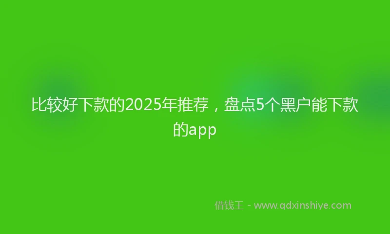比较好下款的2025年推荐，盘点5个黑户能下款的app