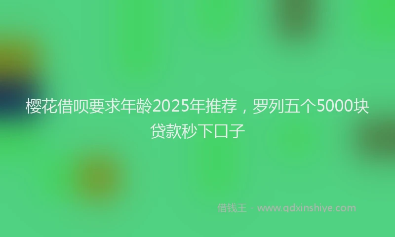樱花借呗要求年龄2025年推荐，罗列五个5000块贷款秒下口子