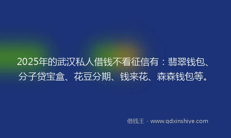 2025年的武汉私人借钱不看征信有：翡翠钱包、分子贷宝盒、花豆分期、钱来花、森森钱包等。