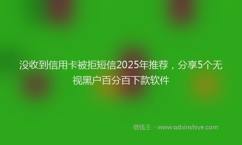 没收到信用卡被拒短信2025年推荐，分享5个无视黑户百分百下款软件