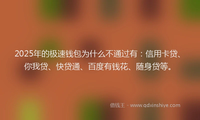 2025年的极速钱包为什么不通过有：信用卡贷、你我贷、快贷通、百度有钱花、随身贷等。