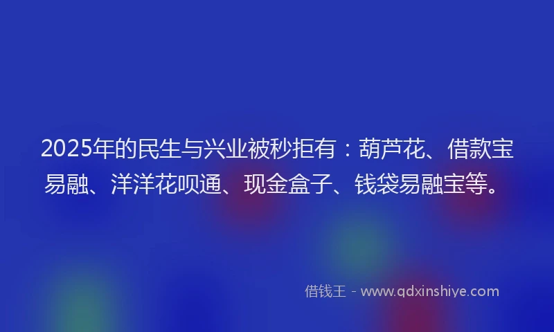 2025年的民生与兴业被秒拒有：葫芦花、借款宝易融、洋洋花呗通、现金盒子、钱袋易融宝等。
