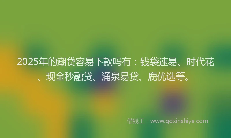 2025年的潮贷容易下款吗有：钱袋速易、时代花、现金秒融贷、涌泉易贷、鹿优选等。