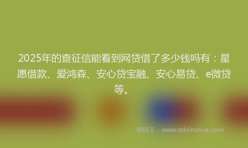 2025年的查征信能看到网贷借了多少钱吗有：星愿借款、爱鸿森、安心贷宝融、安心易贷、e微贷等。
