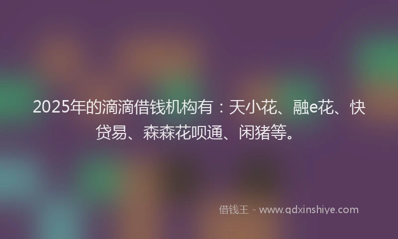 2025年的滴滴借钱机构有：天小花、融e花、快贷易、森森花呗通、闲猪等。