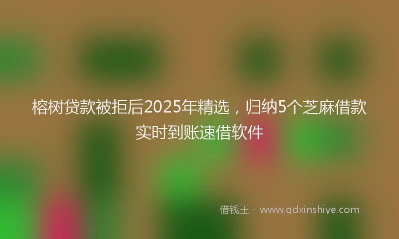 榕树贷款被拒后2025年精选，归纳5个芝麻借款实时到账速借软件