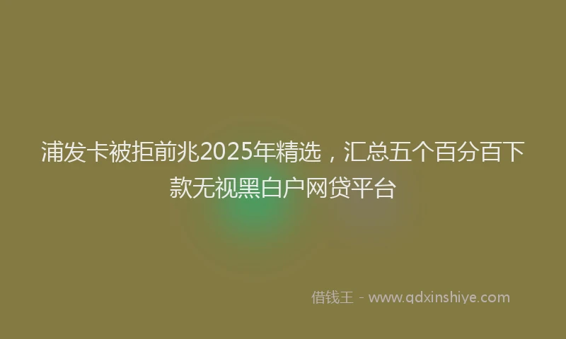 浦发卡被拒前兆2025年精选，汇总五个百分百下款无视黑白户网贷平台
