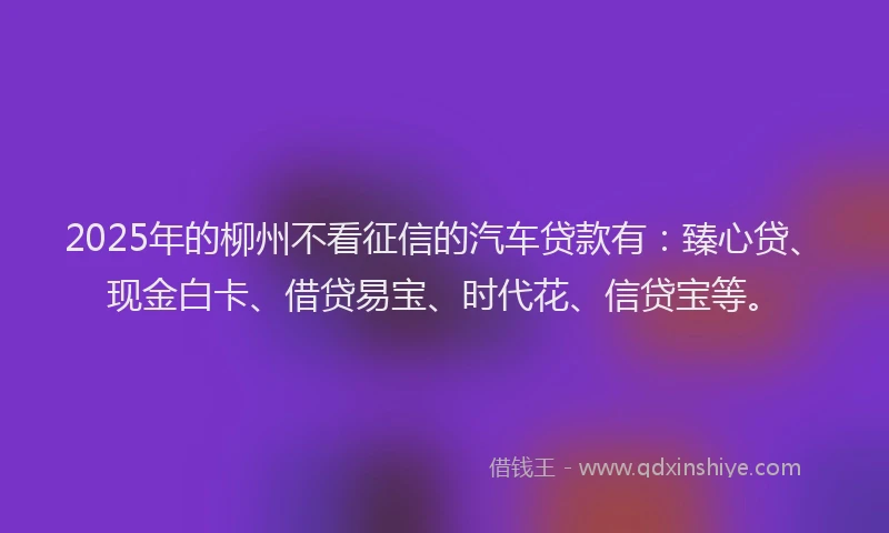 2025年的柳州不看征信的汽车贷款有：臻心贷、现金白卡、借贷易宝、时代花、信贷宝等。