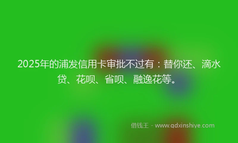 2025年的浦发信用卡审批不过有：替你还、滴水贷、花呗、省呗、融逸花等。
