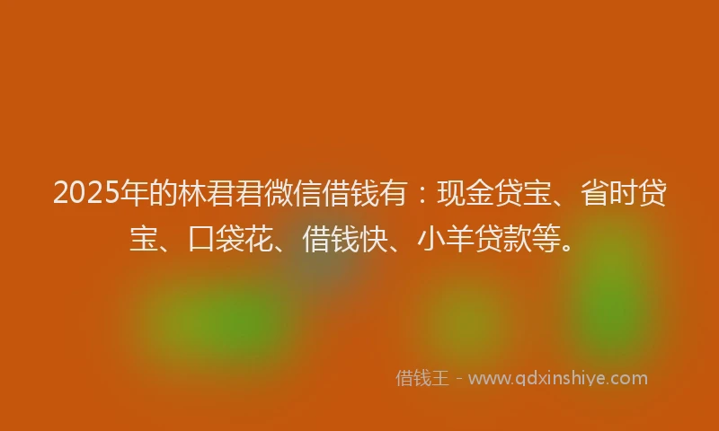 2025年的林君君微信借钱有：现金贷宝、省时贷宝、口袋花、借钱快、小羊贷款等。