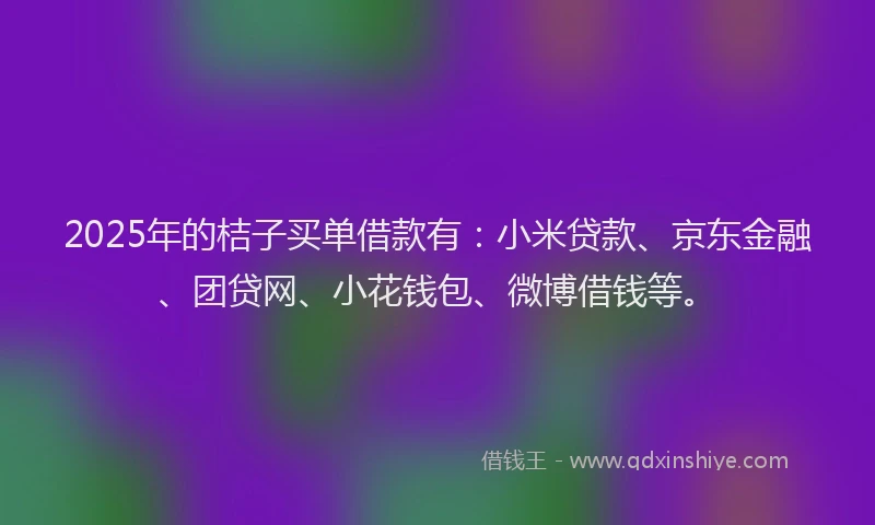 2025年的桔子买单借款有：小米贷款、京东金融、团贷网、小花钱包、微博借钱等。