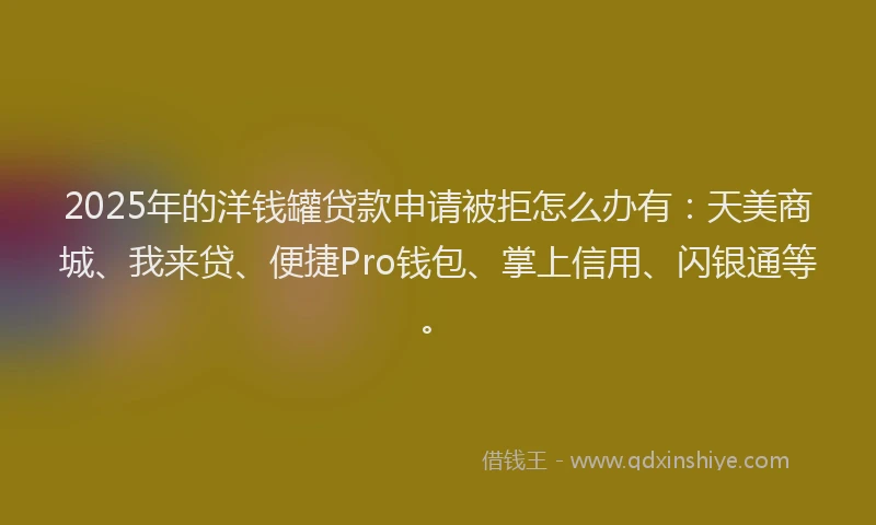 2025年的洋钱罐贷款申请被拒怎么办有：天美商城、我来贷、便捷Pro钱包、掌上信用、闪银通等。