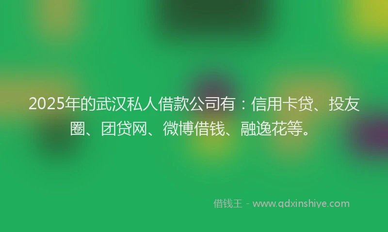 2025年的武汉私人借款公司有：信用卡贷、投友圈、团贷网、微博借钱、融逸花等。