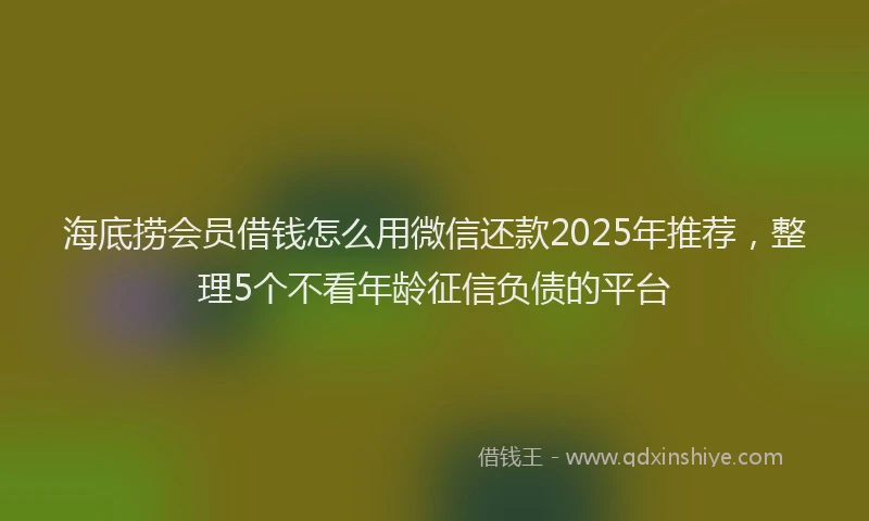 海底捞会员借钱怎么用微信还款2025年推荐，整理5个不看年龄征信负债的平台