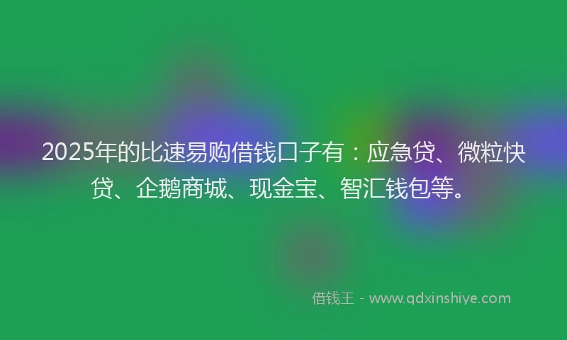 2025年的比速易购借钱口子有：应急贷、微粒快贷、企鹅商城、现金宝、智汇钱包等。