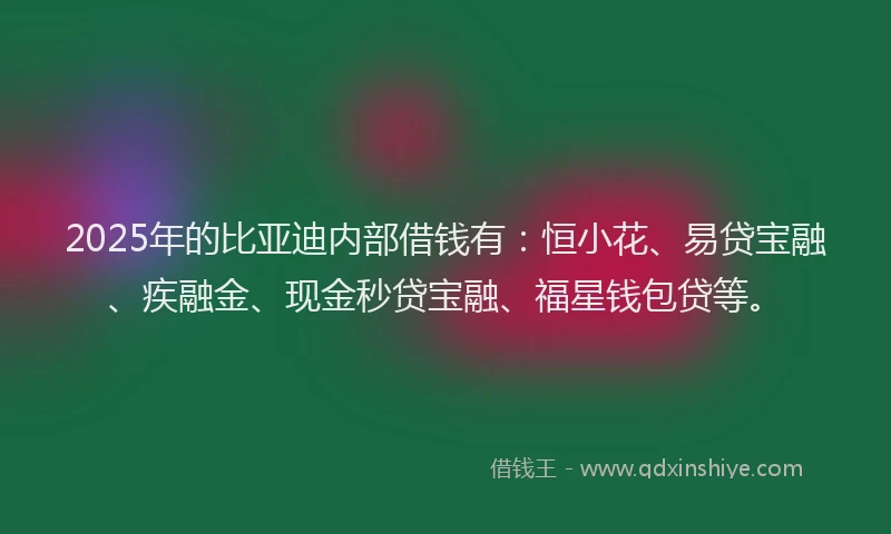 2025年的比亚迪内部借钱有：恒小花、易贷宝融、疾融金、现金秒贷宝融、福星钱包贷等。