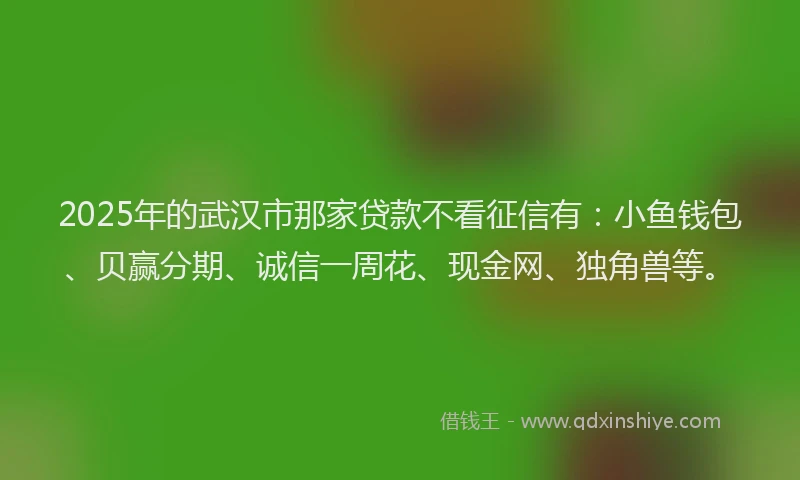 2025年的武汉市那家贷款不看征信有：小鱼钱包、贝赢分期、诚信一周花、现金网、独角兽等。