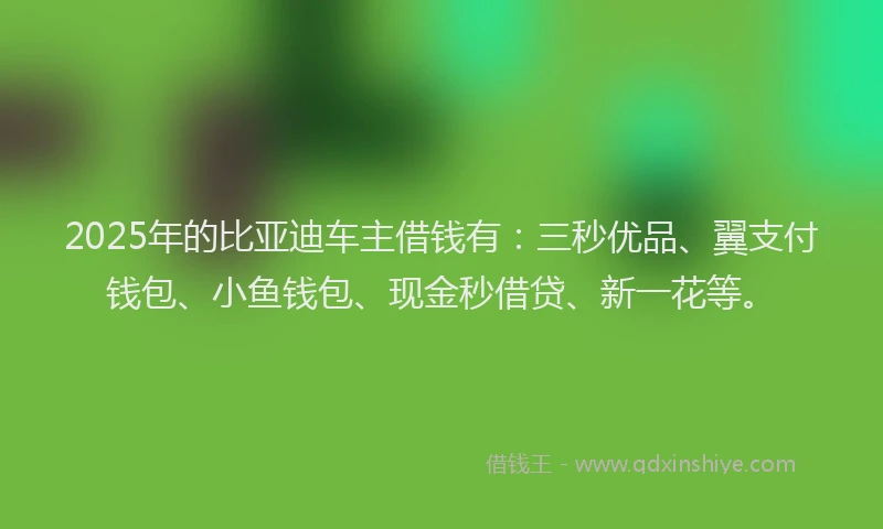 2025年的比亚迪车主借钱有：三秒优品、翼支付钱包、小鱼钱包、现金秒借贷、新一花等。