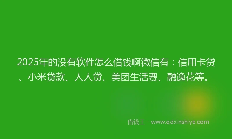 2025年的没有软件怎么借钱啊微信有：信用卡贷、小米贷款、人人贷、美团生活费、融逸花等。