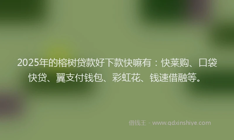 2025年的榕树贷款好下款快嘛有：快莱购、口袋快贷、翼支付钱包、彩虹花、钱速借融等。