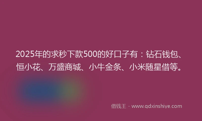 2025年的求秒下款500的好口子有：钻石钱包、恒小花、万盛商城、小牛金条、小米随星借等。