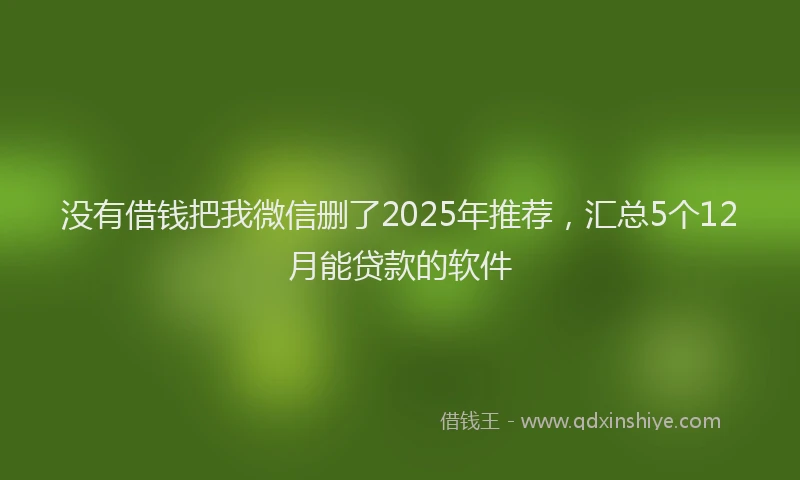 没有借钱把我微信删了2025年推荐，汇总5个12月能贷款的软件