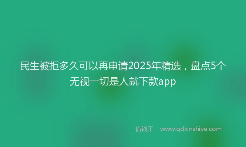 民生被拒多久可以再申请2025年精选，盘点5个无视一切是人就下款app