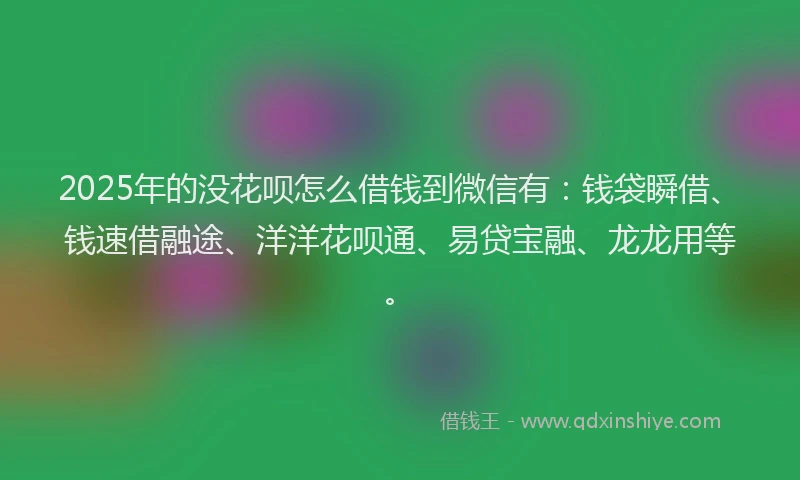 2025年的没花呗怎么借钱到微信有：钱袋瞬借、钱速借融途、洋洋花呗通、易贷宝融、龙龙用等。